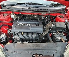 Tyiota crola - Image 8/10