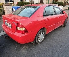 Tyiota crola - Image 10/10