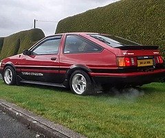 Lz show and shine ticket wanted