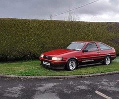 Lz show and shine ticket wanted