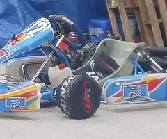 Alonso Rotax Max 125 Racing Go Kart
