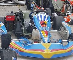 Alonso Rotax Max 125 Racing Go Kart