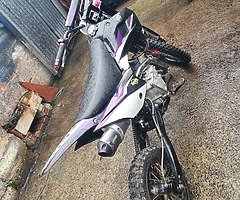 160 stamp - Image 4/4