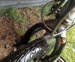 Racer bike for sale aluminium body gears brakes everything working - Image 5/8