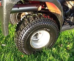 Suzuki ozark 250 - Image 4/5