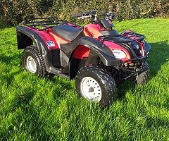 Suzuki ozark 250 - Image 5/5