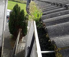 Roof restore power washing services Galway