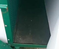 Dog trailer - Image 3/7