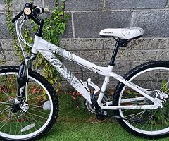 Apollo bike 24" - Image 3/10