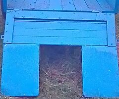 6x4 single axle trailer for sale with ramp back board - Image 7/7