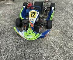 2018 Zip Go Kart 50cc