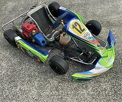 2018 Zip Go Kart 50cc
