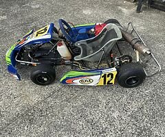 Zip Go Kart 50cc