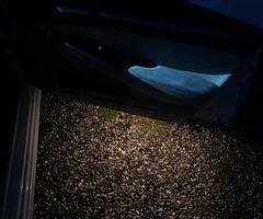 Honda Civic 2007 auto 1.3 Hybrid Petrol - Image 10/10