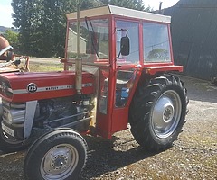 Massey 135
