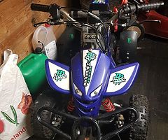 mini quad ... needs pullstart