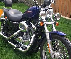 2007 HARLEY DAVIDSON 883 SPORTSTER 4500MILES
