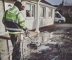 Professional Service - Image 3/7