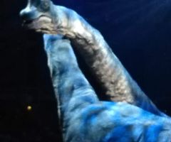 FMcrepair Armagh console PC laptop tablet phones and morw - Image 5/6