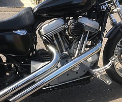 2004 Harley-Davidson XL883C