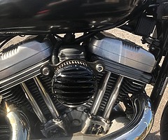 2004 Harley-Davidson XL883C