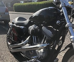 2004 Harley-Davidson XL883C