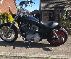 2004 Harley-Davidson XL883C - Image 5/9