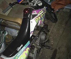 Any pitbikes about something like this