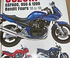 Suzuki bandit manual