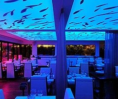 PERFECT CEILING IN 1 DAY !!! HOTEL BAR RESTAURANT KITCHEN BATHROOM LIVING ROOM OFFICE SWIMMING POOL