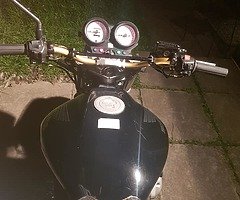 Honda hornet