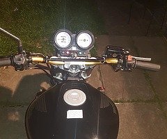 Honda hornet