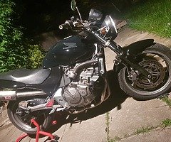 Honda hornet - Image 7/10