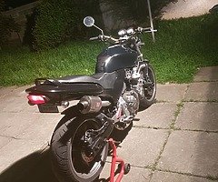 Honda hornet - Image 8/10