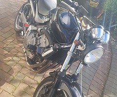 Honda hornet - Image 9/10