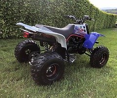 Mint 2012 yamaha banshee - Image 4/9