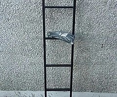 Van rear door ladder