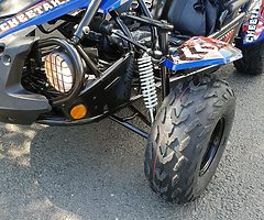 QUADZILLA CHEETAH 150 cc Buggy (FINANCE/DELIVERY) @ muckandfun - Image 3/10