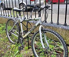 Mountain Bike + Kryptonite Lock