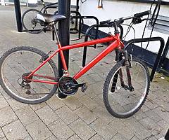 Adult Bike