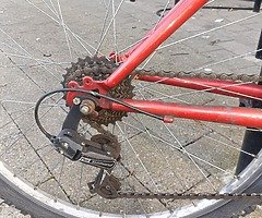 Adult Bike
