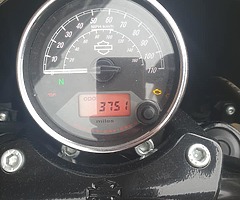 2016 Harley Davidson street 750