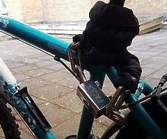 Bike - Image 3/3
