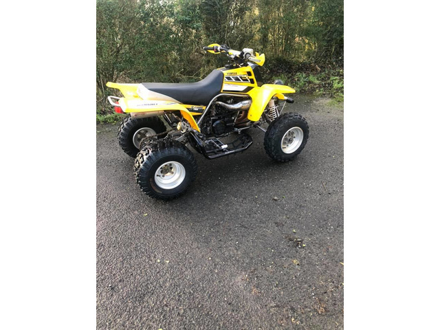 Yamaha Banshee Yellow 50th Anivarsary Model ❗️Road Registered❗️ - 3/8
