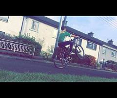 Carrera mountain bike