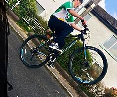 Carrera mountain bike