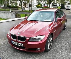 2010 BMW 318i