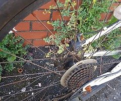 ***SUMMER*** - Image 7/9