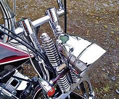 Harley Davidson Sportster 1200XL Custom