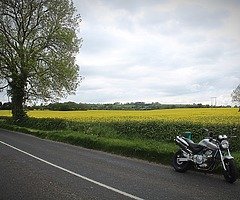 i have my 1998 honda hornet 600 for sale more info Private Message